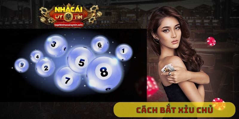 cách bắt xỉu chủ