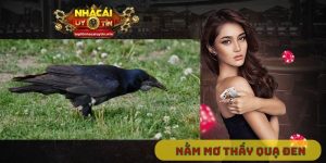 nằm mơ thấy quạ đen